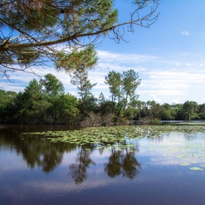L'étang Paludot